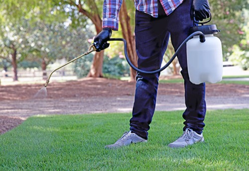 pre-emergent grass herbicide