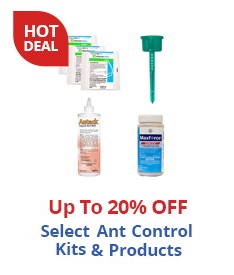 Hot Deal - Save on select ant kits