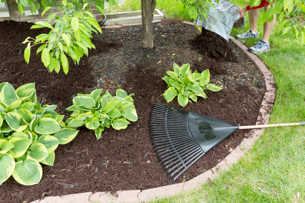 Image showing a rake cleaning up yard to keep spiders away.