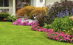 Lawn & Garden