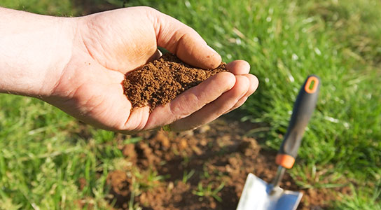 What is Soil pH?