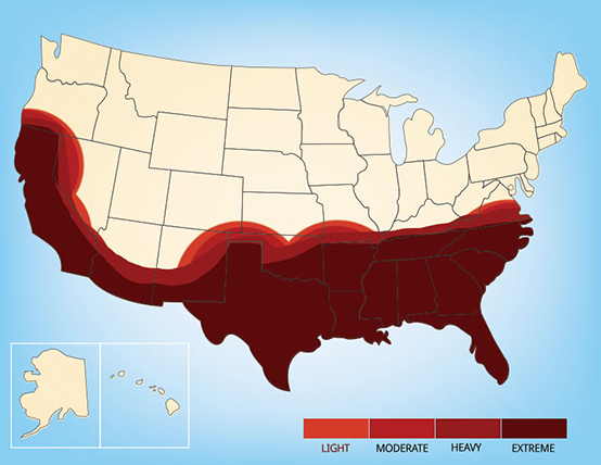 Graphic showing a range map for the chinch bug in the United States