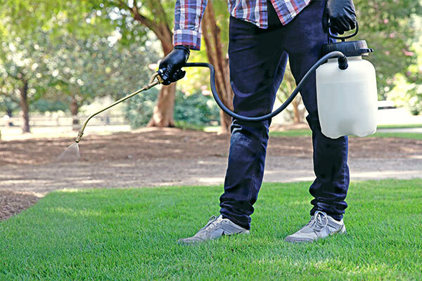 A photo of a lawnmower cutting the grass of a lawn, taken from a low angle