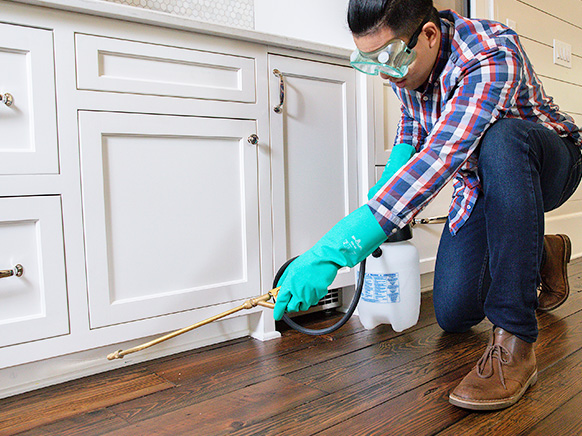An image of a person spraying pesticide in the house