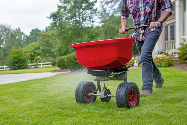 Image of a man spreading granules on his lawn