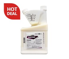 Sumari Ant<br>Control Quarts Sumari Ant<br>Control Quarts