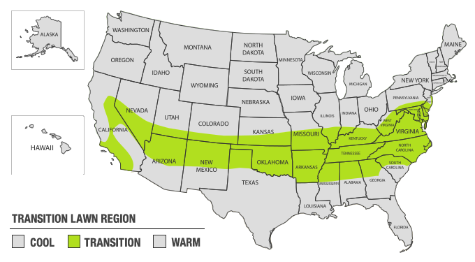 lawn care timeline