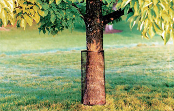 Image of tree protector product wrapped around the trunk of a young tree