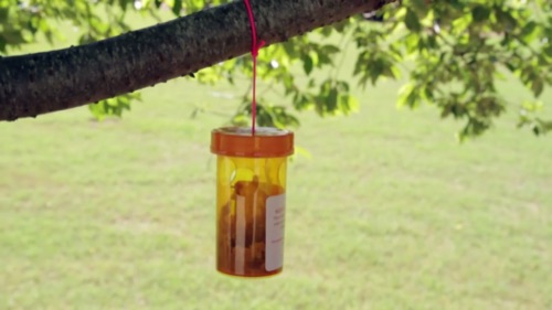 wasp bait station treatment