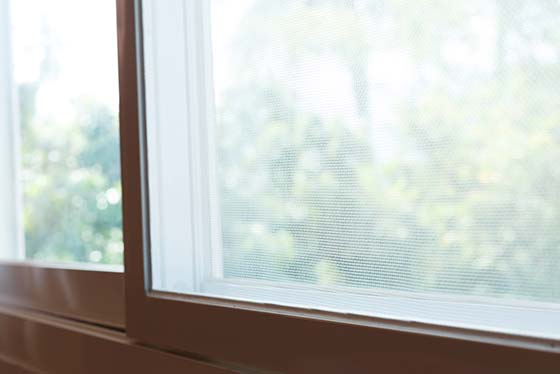 An image of a window screen from inside a house