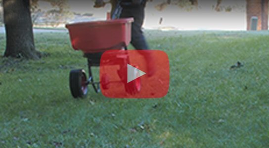 Video: How to Winterize a Cool Season Lawn