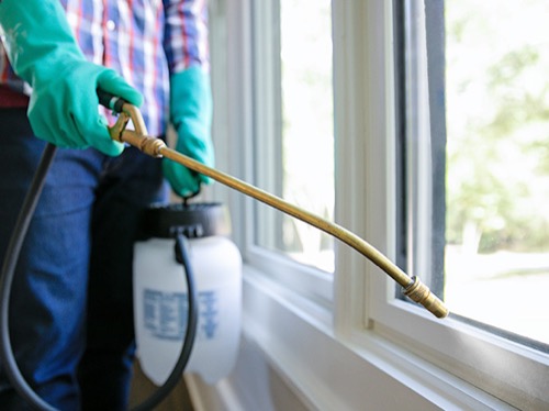 Image of person spraying around window frame