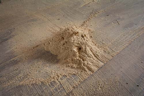 Image showing wood powder made from wood boring beetles