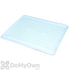 JT Eaton Stick - EM Elephant Size Glue Traps (model 100)