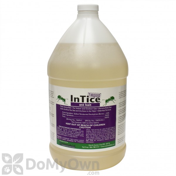 InTice Thiquid Ant Bait - 1 gal. 