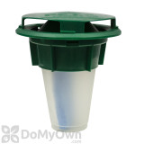 Alternate Image 1 Thumbnail