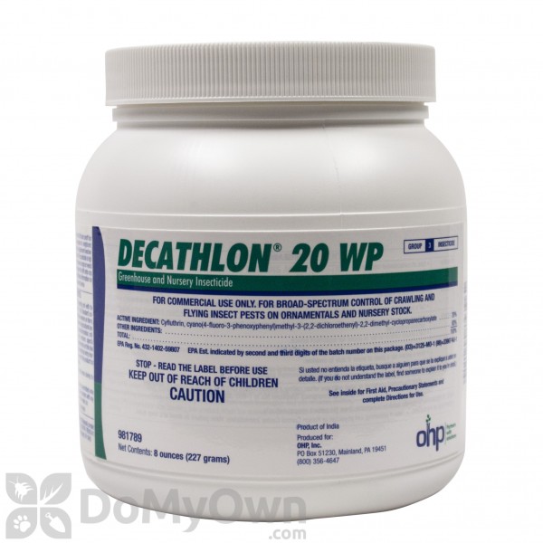 decathlon 20