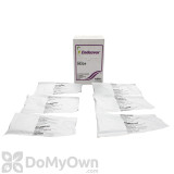 Alternate Image 1 Thumbnail