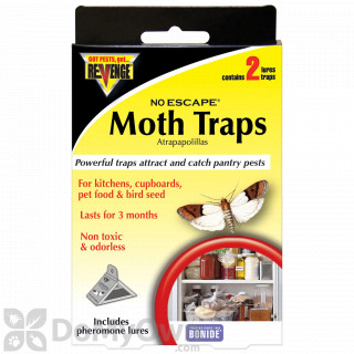 Non-Toxic Indoor Birdseed and Pantry Moth Traps Plus Lures (Case of 3)