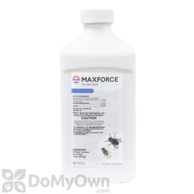Maxforce Fly Spot Bait 16 oz.