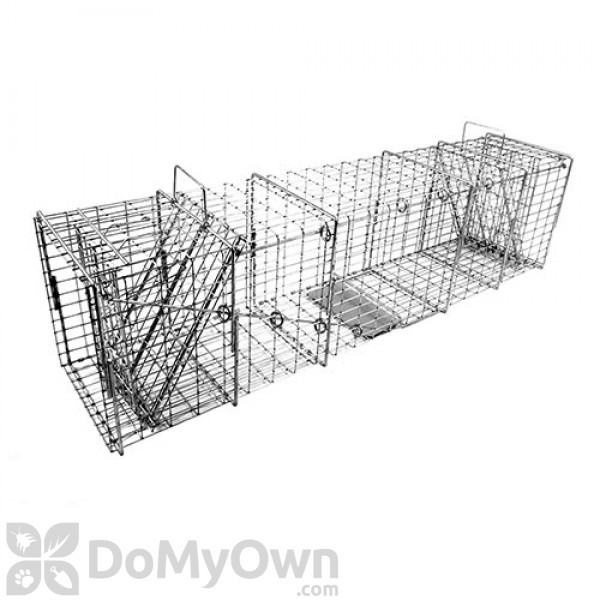 Duke Traps Heavy Duty Large Raccoon and Fox Trap (1114)