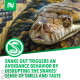 Snake Out Snake Repellent