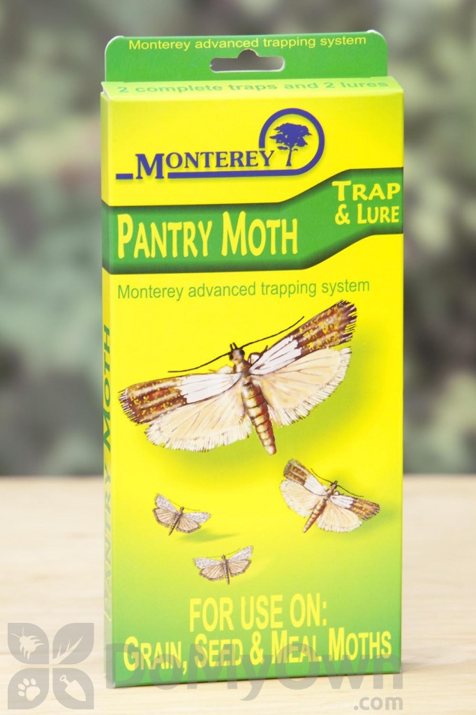 Monterey Pantry Moth Trap And Lure Kit Lg8910 Monterey Pantry Moth Trap And Lure Kit