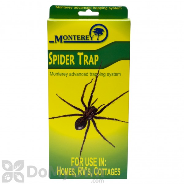 Spider traps deals