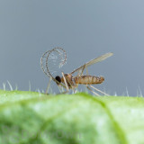 Alternate Image 1 Thumbnail