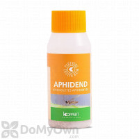 Koppert Aphidend (Aphidoletes aphidimyza)