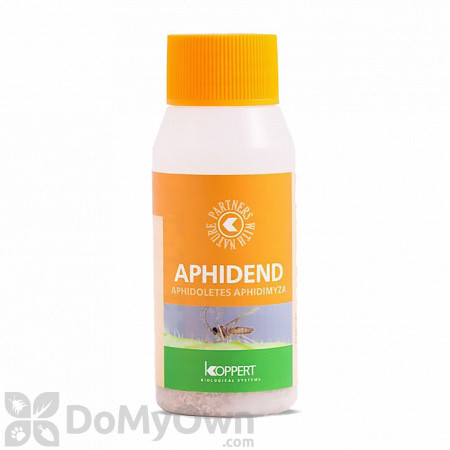 Koppert Aphidend (Aphidoletes aphidimyza)