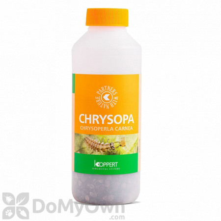 Koppert Chrysopa (Chrysoperla Carnea) 500 ml