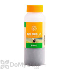 Koppert Delphibug (Delphastus catalinae)