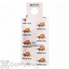 Koppert Thripex-Plus (Neoseiulus cucumeris) 500 pack 