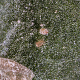 Alternate Image 1 Thumbnail