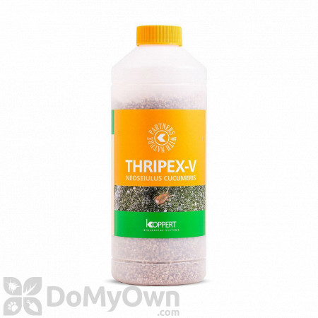 Koppert Thripex-V (Neoseiulus cucumeris) 1000 ml