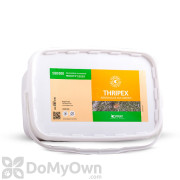 Koppert Thripex (Neoseiulus cucumeris) Bucket (52039)