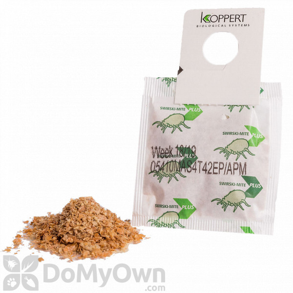 Koppert Swirski-Mite Plus (Amblyesius swirskii)