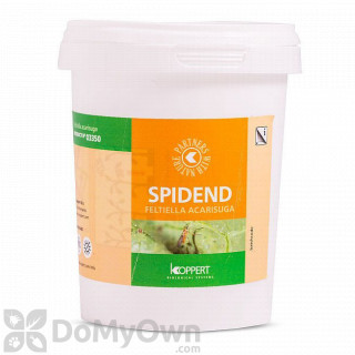image of Koppert Spidend (Feltiella acarisuga) 550 ml