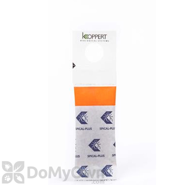 Koppert Spical Plus (Amblyseius californicus) 500 pack (492)