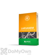 Koppert Larvanem (Heterorhabditis bacteriophora)