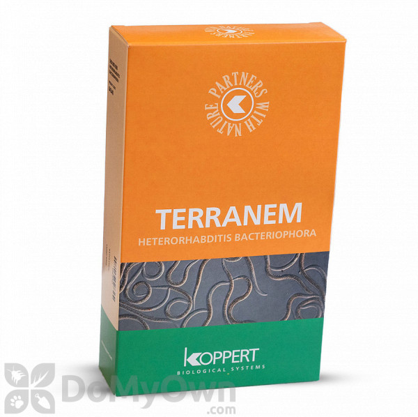 Koppert Terranem (Heterorhabditis bacteriophora)