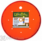 Bloem Ups-A-Daisy Round Planter Insert