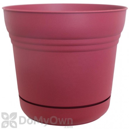 Bloem Saturn Planter 5 in. Union Red