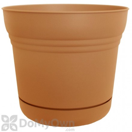 Bloem Saturn Planter 10 in. Tequila Sunrise