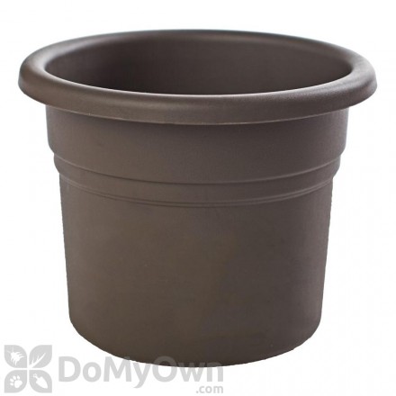 Bloem Posy Planter 8 in. Peppercorn