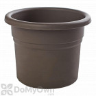Bloem Posy Planter 10 in.