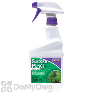image of Sucker Punch Ready To Use