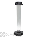 Alternate Image 2 Thumbnail