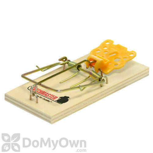 https://cdn.domyown.com/images/thumbnails/12369-Catchmaster-Wooden-Mouse-Snap-Trap-602PE/12369-Catchmaster-Wooden-Mouse-Snap-Trap-602PE.jpg.thumb_500x500.jpg